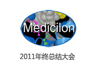 美迪西年終總結(jié)大會(huì)成功召開