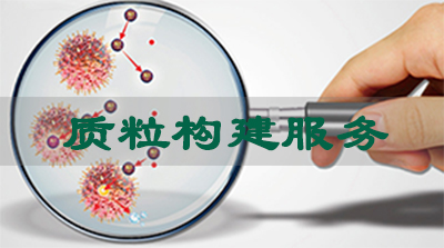 質(zhì)粒構(gòu)建服務(wù)