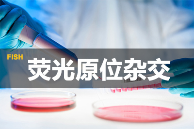 美迪西熒光原位雜交技術(shù)