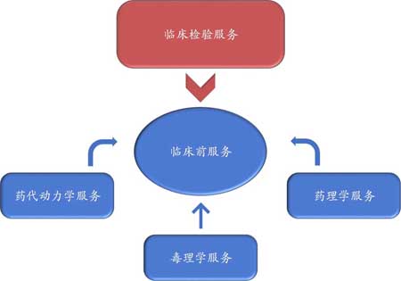 美迪西臨床前服務(wù)