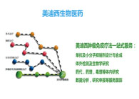 美迪西生物部副總裁汪俊博士：美迪西腫瘤免疫學平臺已建立