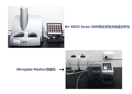 美迪西電化學發光免疫分析儀和全自動洗板機