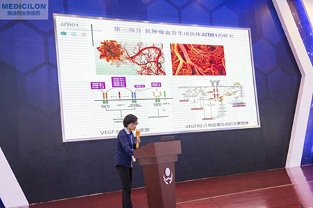 中國(guó)藥科大學(xué)張娟副教授作抗腫瘤血管生成抗體JZB01研究報(bào)告
