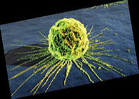 又1篇！曹雪濤院士Cancer Cell發文：腫瘤轉移背后的“秘密”