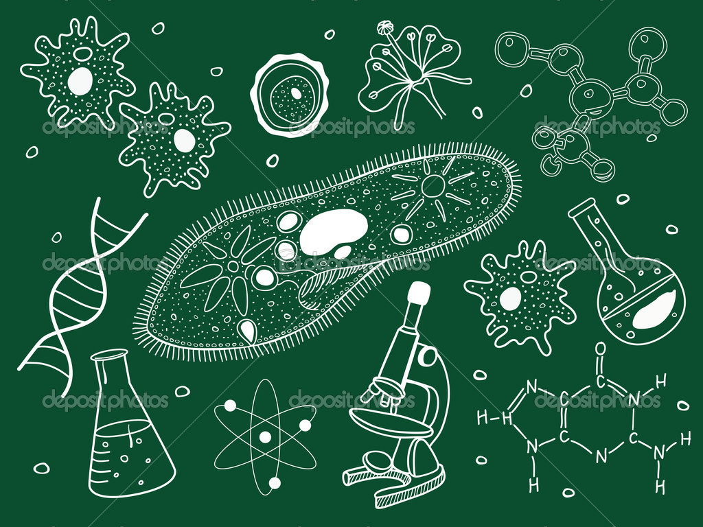 Nature：科學(xué)家找到殺死抗藥細(xì)菌的新靶點(diǎn)