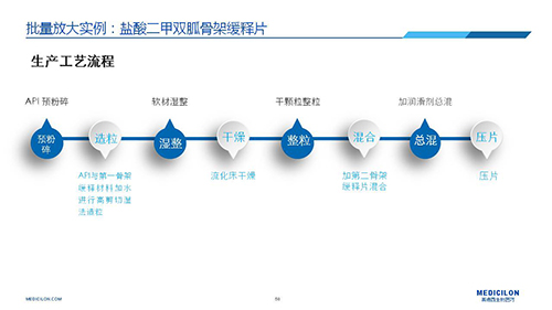 美迪西 變更參比制劑 李國(guó)棟博士演講PPT