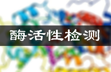 蛋白酶制劑檢測(cè)/酶活性分析測(cè)定