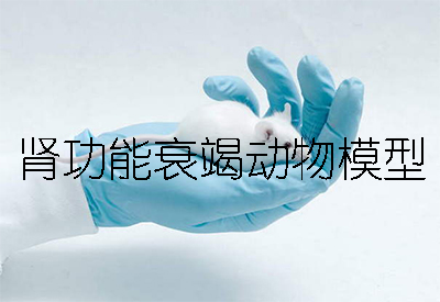 腎功能衰竭動(dòng)物模型