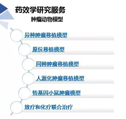 美迪西藥效學動物模型