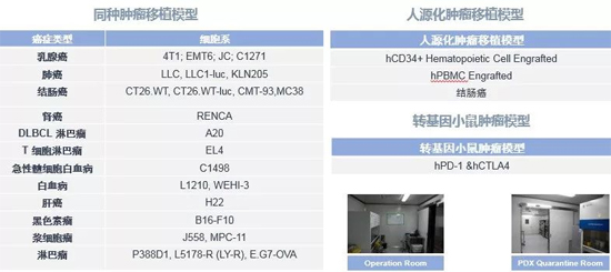 美迪西藥效學動物模型
