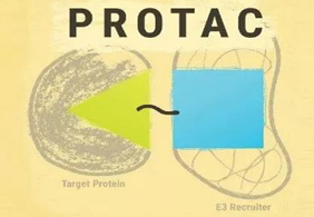 熱點(diǎn)前沿:PROTAC初露鋒芒，SD-36對(duì)抗腫瘤效果卓越