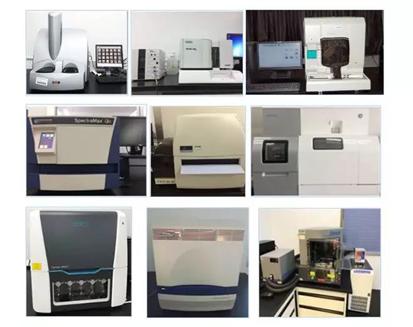 美迪西生物技術(shù)藥物分析部門擁有SpectraMaxM4/M5/i3x, MSD, Luminex, Biacore 8K, Envision, Gyrolab，ABI7500 qPCR等全方位多功能的技術(shù)平臺，利用LIMS系統(tǒng)實施全面的實驗室信息化管理，提供全面符合FDA/CFDA/OECD GLP規(guī)范要求的生物技術(shù)藥物分析服務。