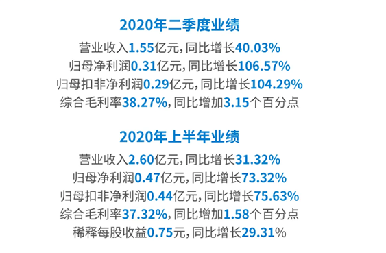 2020年二季度業(yè)績