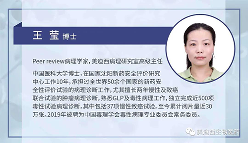 美迪西病理研究部高級主任王瑩博士