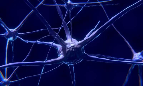 研究首次表明，與年齡有關(guān)的認(rèn)知喪失可能主要是由一種可逆的生理性“阻滯”而不是永久性的降解引起的。