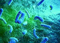【Nature】無懼細(xì)菌耐藥性的新型抗生素誕生了！