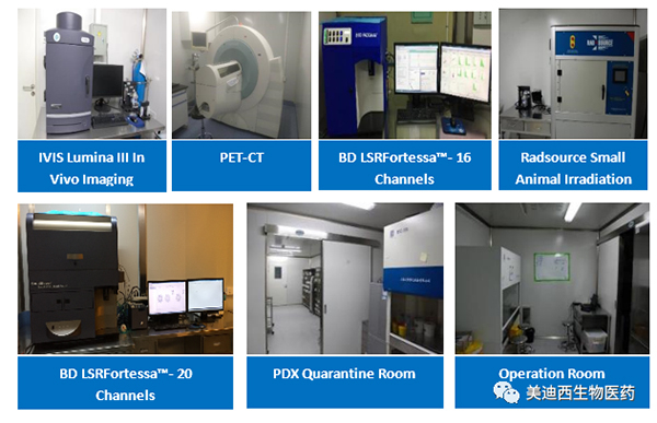美迪西藥理部擁有IVIS Lumina III, PET-CT, BD LSRFortessa-16，F(xiàn)low Cytometry等儀器