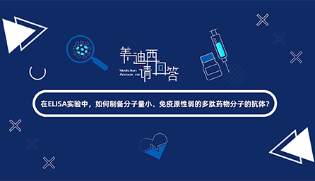 在ELISA實(shí)驗(yàn)，如何制備分子量小、免疫原性弱的多肽藥物分子的抗體？