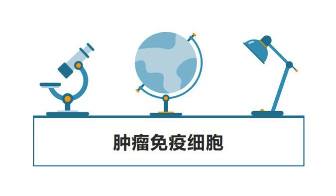 抗癌藥的熱門賽道——腫瘤免疫細(xì)胞