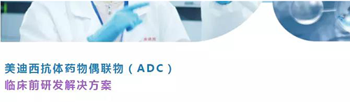 美迪西抗體藥物偶聯物(ADC)臨床前研發解決方案.png 美迪西抗體藥物偶聯物(ADC)臨床前研發解決方案.png