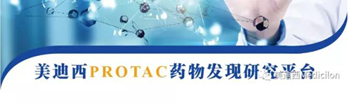 美迪西PROTAC藥物發現平臺.png 美迪西PROTAC藥物發現平臺.png