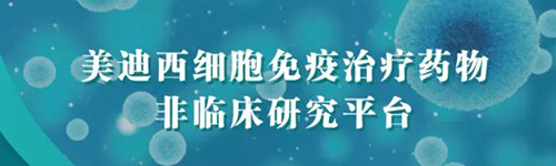 美迪西細胞免疫治療藥物非臨床研究平臺.png 美迪西細胞免疫治療藥物非臨床研究平臺.png