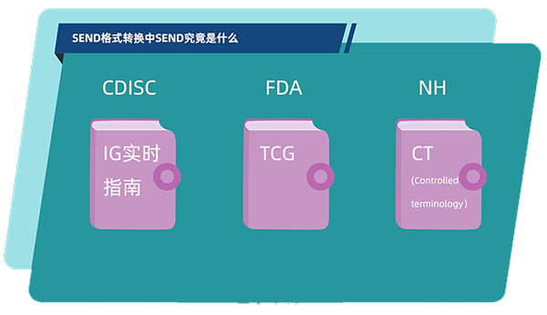 SEND的構(gòu)成.jpg SEND的構(gòu)成.jpg