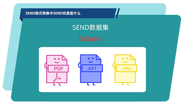 SEND數(shù)據(jù)集的構(gòu)成.jpg SEND數(shù)據(jù)集的構(gòu)成.jpg
