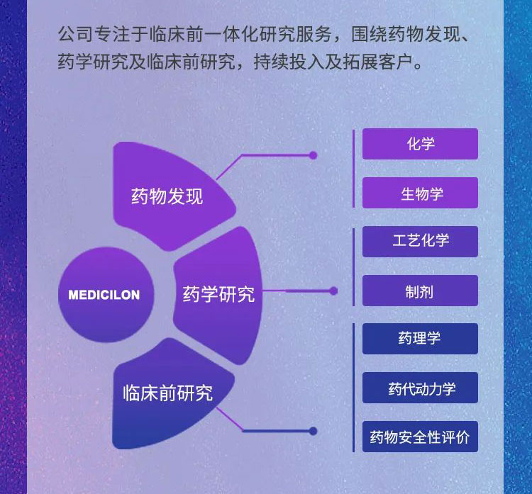 美迪西年報(bào)速讀_公司主要業(yè)務(wù).jpg