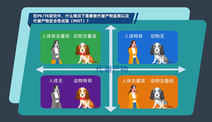 在PK-TK研究中，什么情況下需要做代謝產物監測以及代謝產物安全性試驗（MIST）