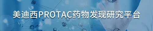 美迪西PROTAC藥物發現研究平臺.png 美迪西PROTAC藥物發現研究平臺.png