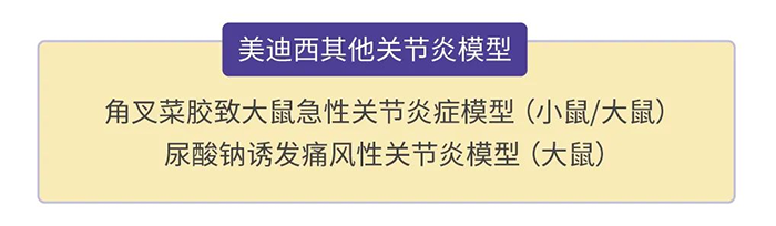 美迪西其他關節炎模型.png