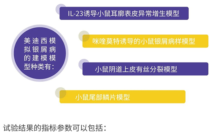 美迪西模擬銀屑病的建模模型.png
