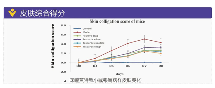 美迪西模擬銀屑病的建模模型-皮膚綜合得分.png