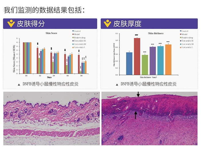 美迪西監測的數據結果.png