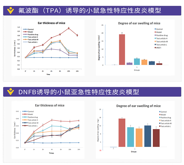 DNFB誘導的小鼠亞急性特應性皮炎模型.png