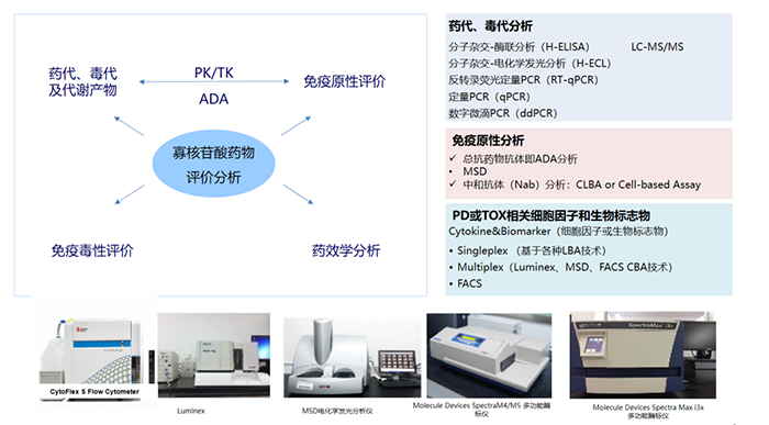核酸藥物生物分析項目及涉及試驗設(shè)備.png