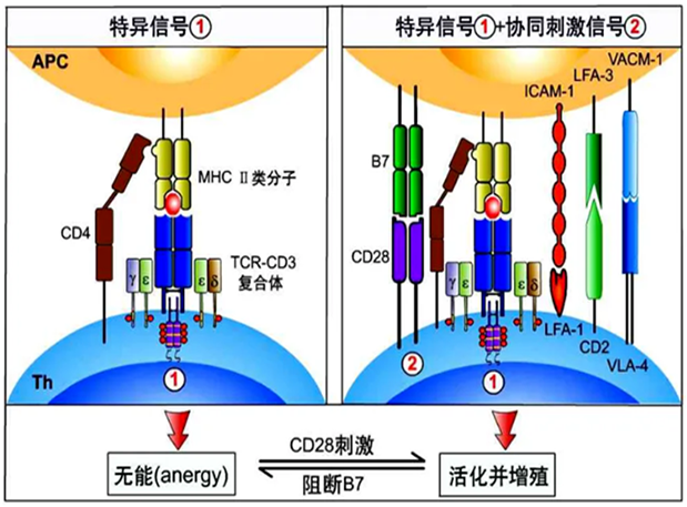 CC312組成概覽.png CC312組成概覽.png