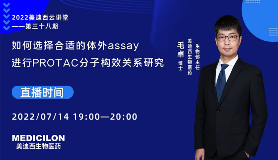 【云講堂】如何選擇合適的體外assay進行PROTAC分子構效關系研究