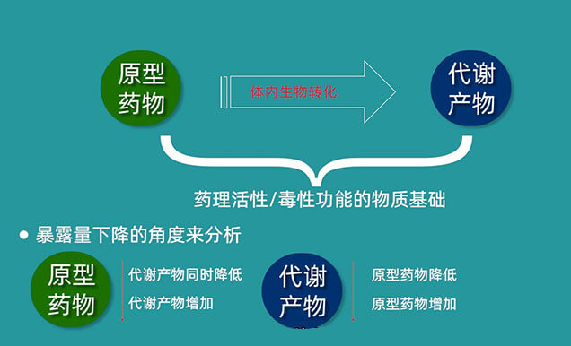 為何藥物系統(tǒng)暴露量AUC在給藥中后期會突然降低.jpg