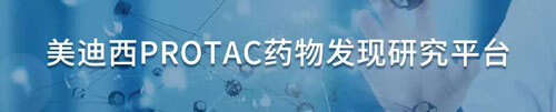 美迪西protac藥物發(fā)現(xiàn)研究平臺(tái).jpg
