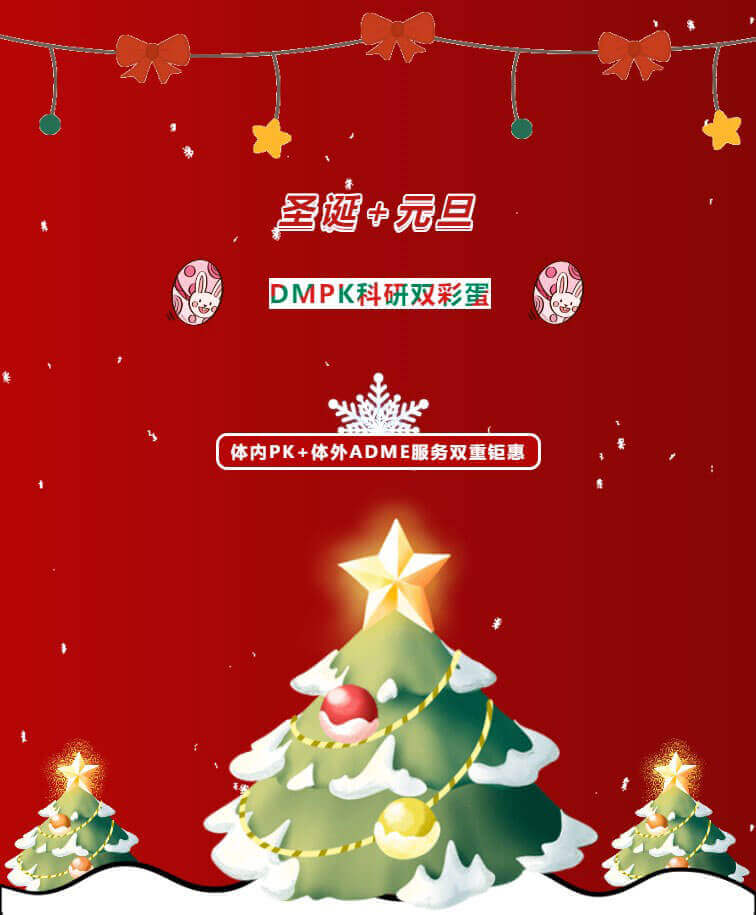 圣誕和元旦雙節(jié)快樂.jpg