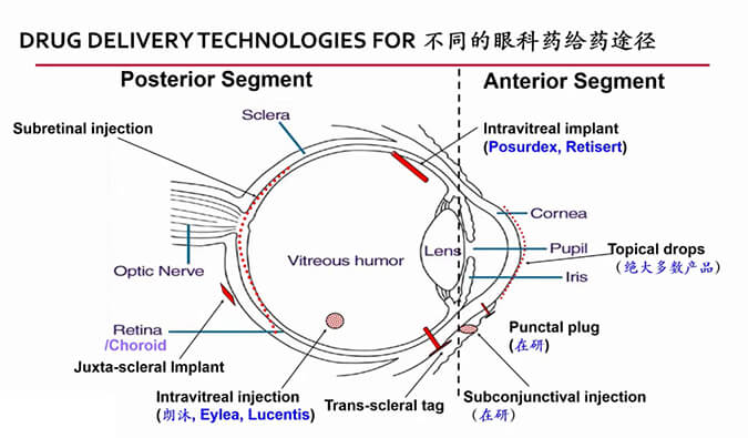 【內附回放+下半場預約】美迪西眼科藥物專題研討會上半場精彩回顧