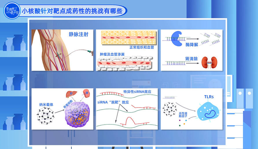 小核酸針對(duì)靶點(diǎn)成藥性的挑戰(zhàn)有哪些？