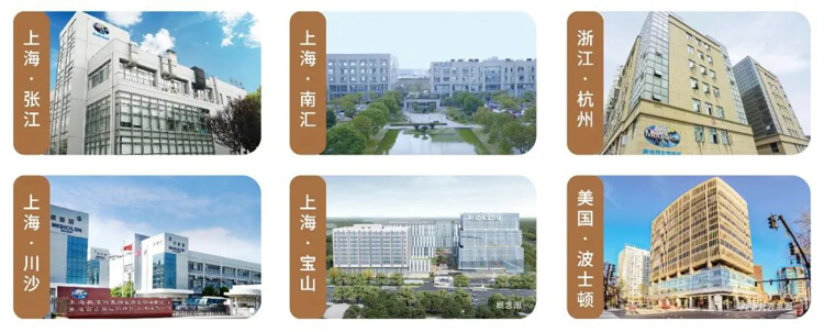 美迪西介紹.jpg