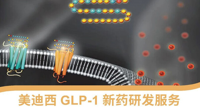 glp-1 新藥研發技術服務平臺.jpg