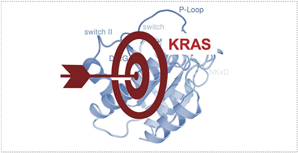 靶向不可成藥靶點KRAS.png 靶向不可成藥靶點KRAS.png