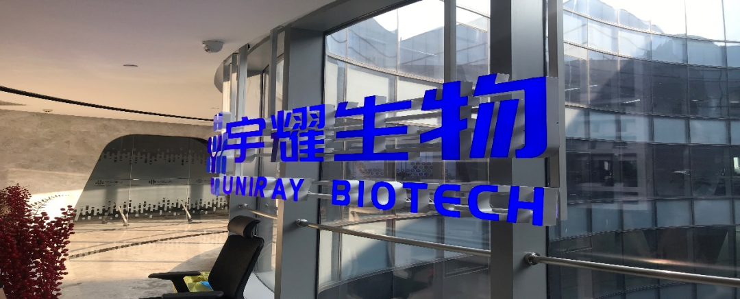 美迪西助力 | 宇耀生物STAT3雙磷酸化位點抑制劑YY201成功完成中美雙報