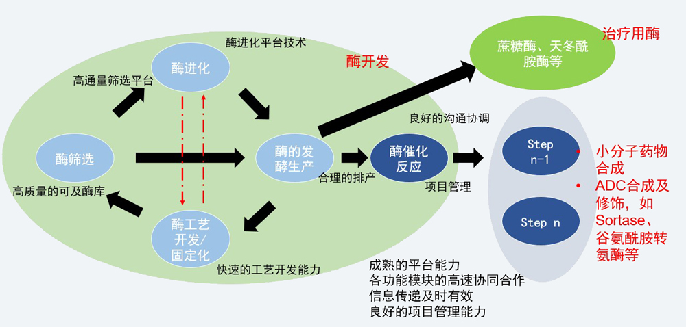 酶催化服務平臺.jpg