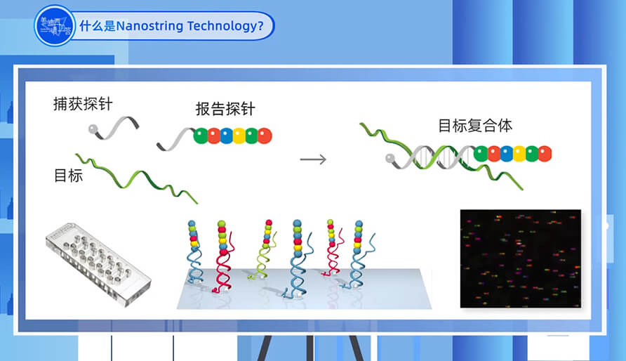 什么是Nanostring 技術？